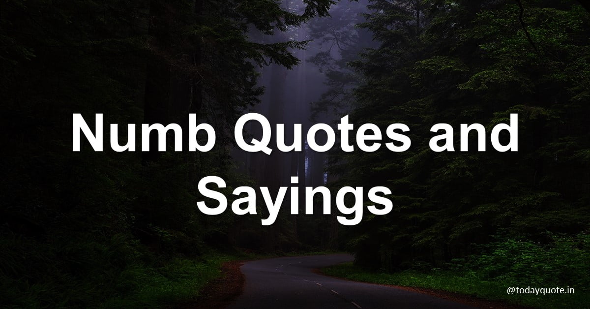 numb quotes