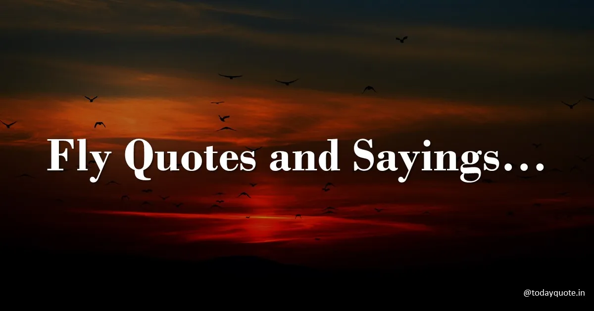 fly quotes