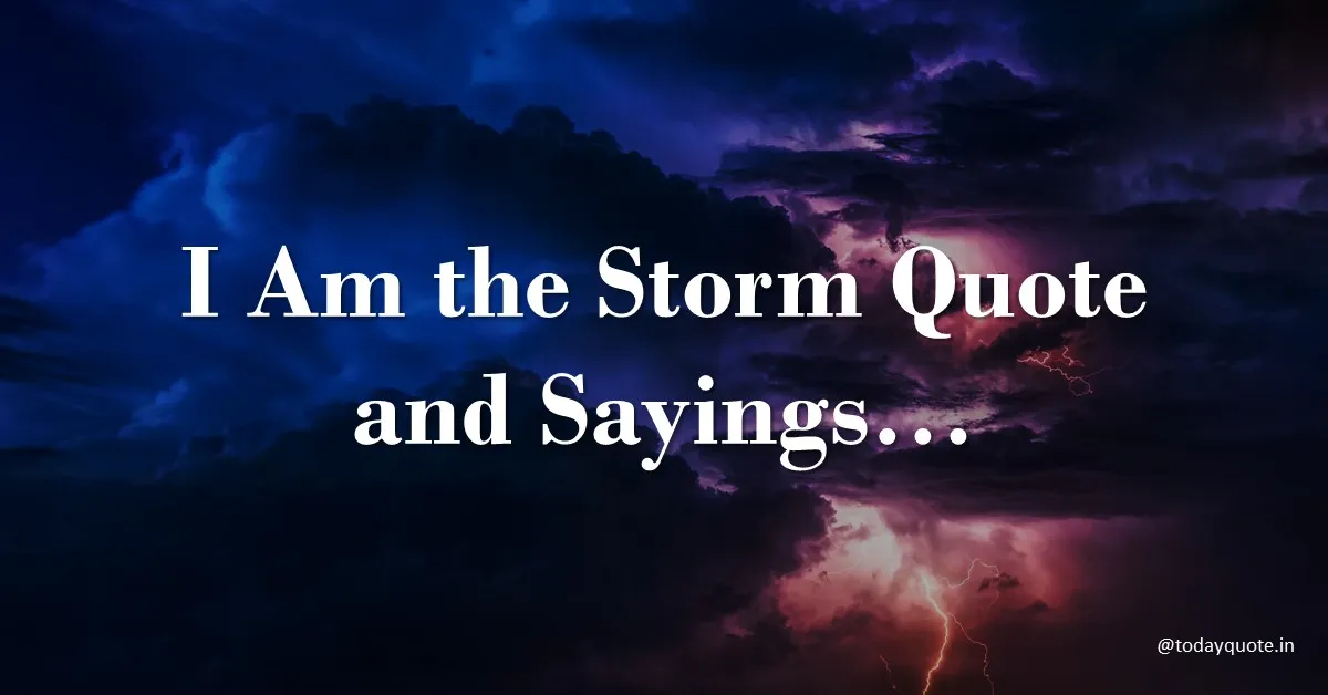 i am the storm quote