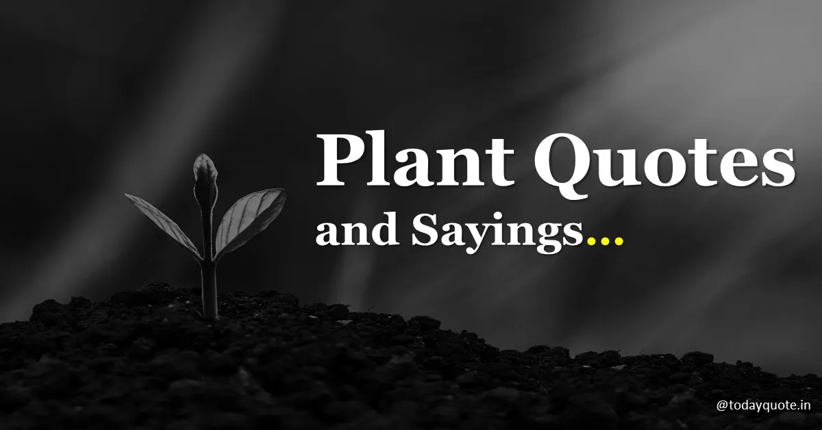 175 Best Plant Quotes and Sayings - Todayquote